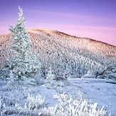 January on The Roan, Roan High Knob