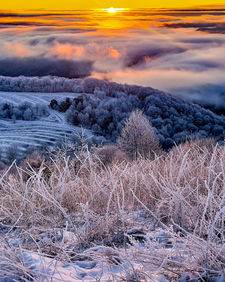 Max Patch weather