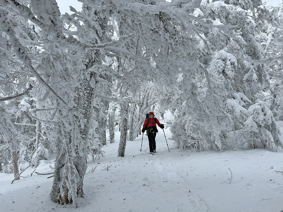 Porter Mountain Trail in Winter