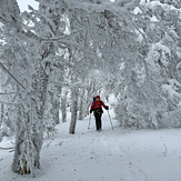 Porter Mountain Trail in Winter