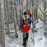 Esther Mountain Trail