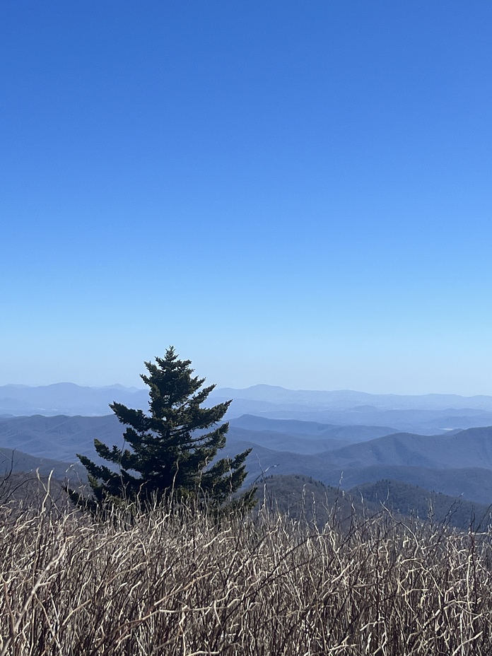 Art Loeb Trail, Black Balsam Knob