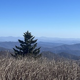 Art Loeb Trail, Black Balsam Knob