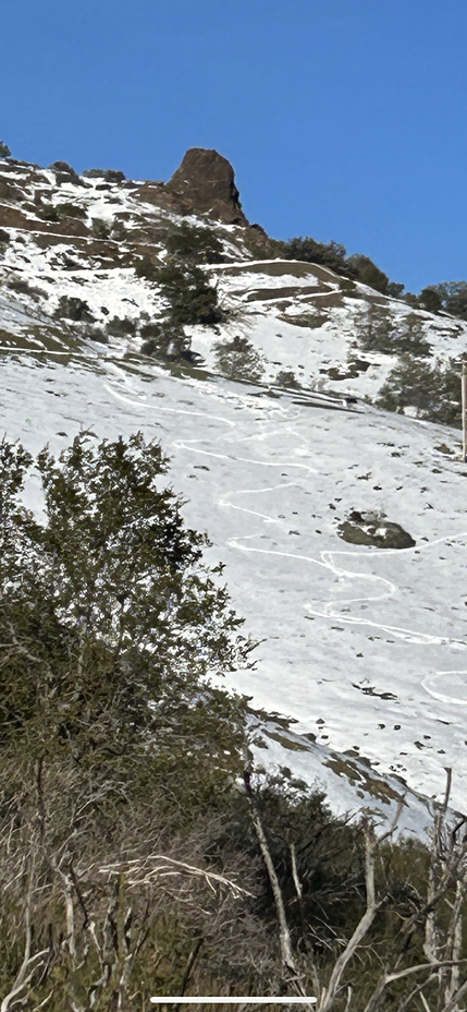 Fresh tracks, Mount Diablo