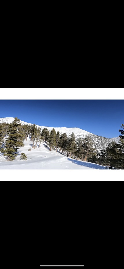 Views of Jepson and San G, San Gorgonio