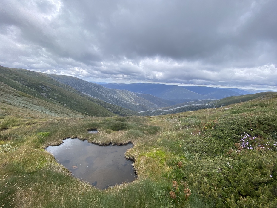 Natural spring, Mount Bogong