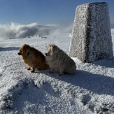 Amazing views, Ben Nevis