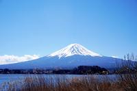 Mount Fuji, Mount Furano photo