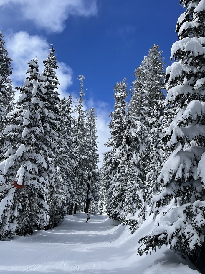 Timberline side, Mount Hood