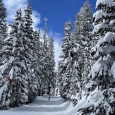 Timberline side, Mount Hood