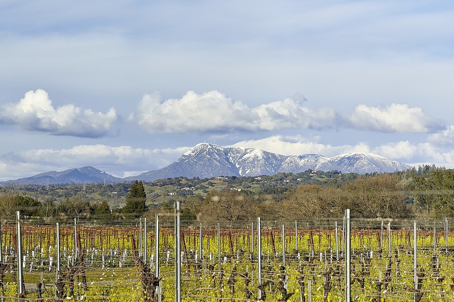 Mt Saint Helena from Santa Rosa, Cobb Mountain