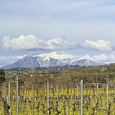 Mt Saint Helena from Santa Rosa, Cobb Mountain