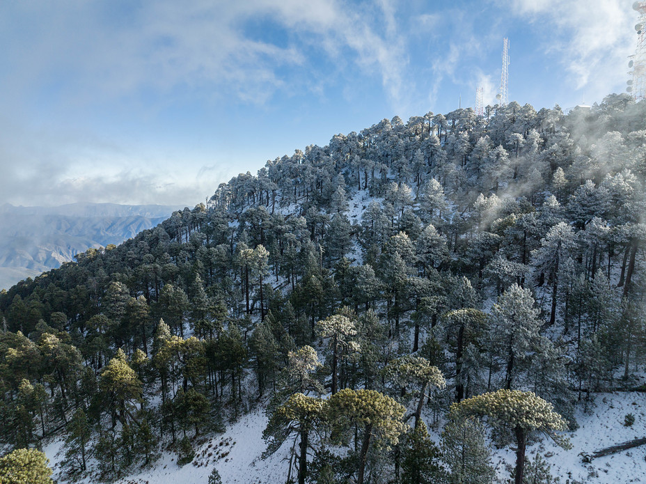 Potosi en Diciembre, Cerro de las Mitras