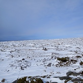 Bleaklow