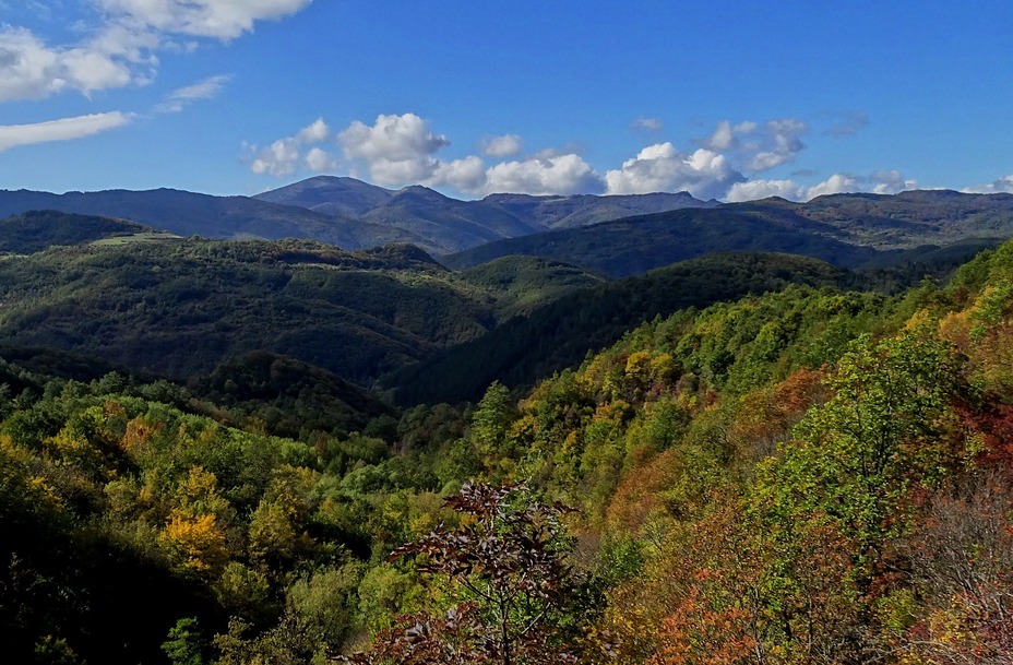 Ruy 1706m, Ruy Mountain