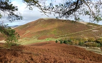 Moel Gyw, Moel Famau photo