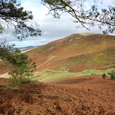 Moel Gyw, Moel Famau