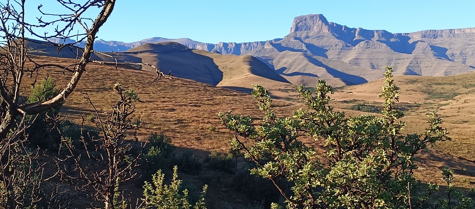 Sentinel Peak