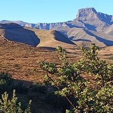 Sentinel Peak