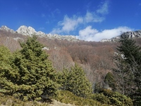 Pinovo, Mount Paiko photo
