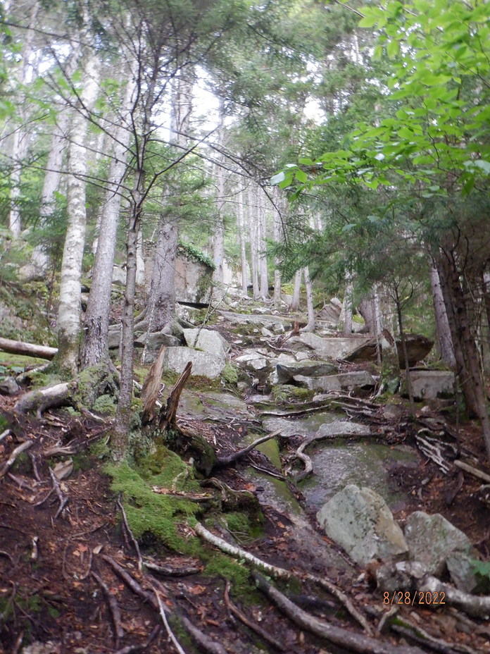 Generally Wild, The Sleepers (New Hampshire)