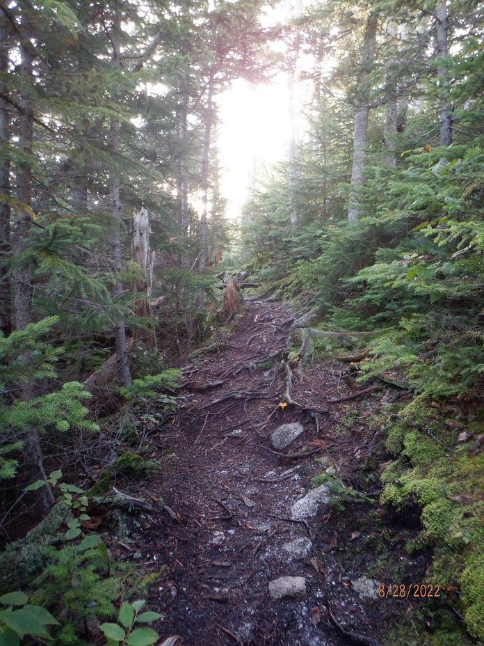 Generally Wild, The Sleepers (New Hampshire)