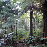 Generally Wild, The Sleepers (New Hampshire)