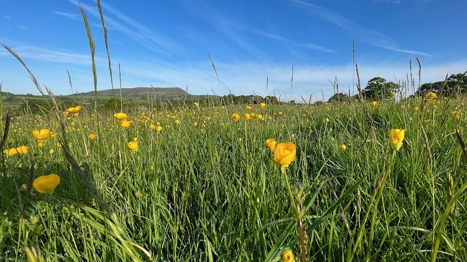 Skirrid Fawr viewed from Llanvetherine, Ysgyryd Fawr