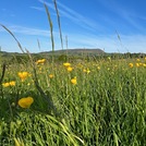 Skirrid Fawr viewed from Llanvetherine