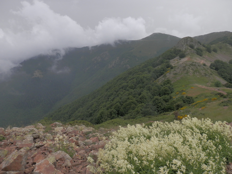 Turó de l'Home from Les Agudes, Montseny