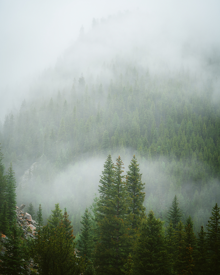 Mt Evans Wilderness and surrounding alpine areas, Mount Evans