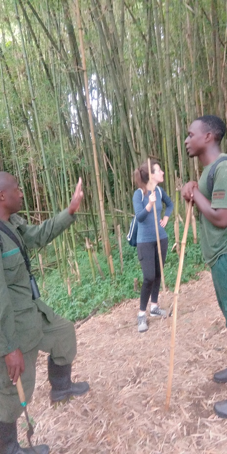 Angello Wander, Mount Sabyinyo