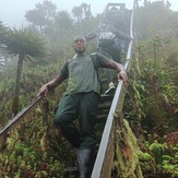 Angello wander, Mount Sabyinyo