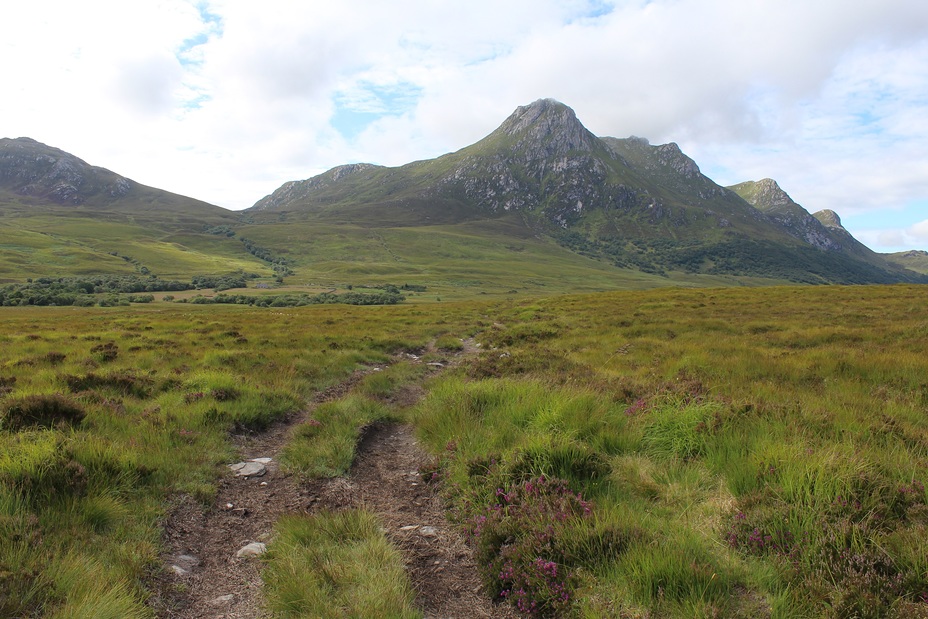 Ben Loyal