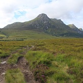 Ben Loyal