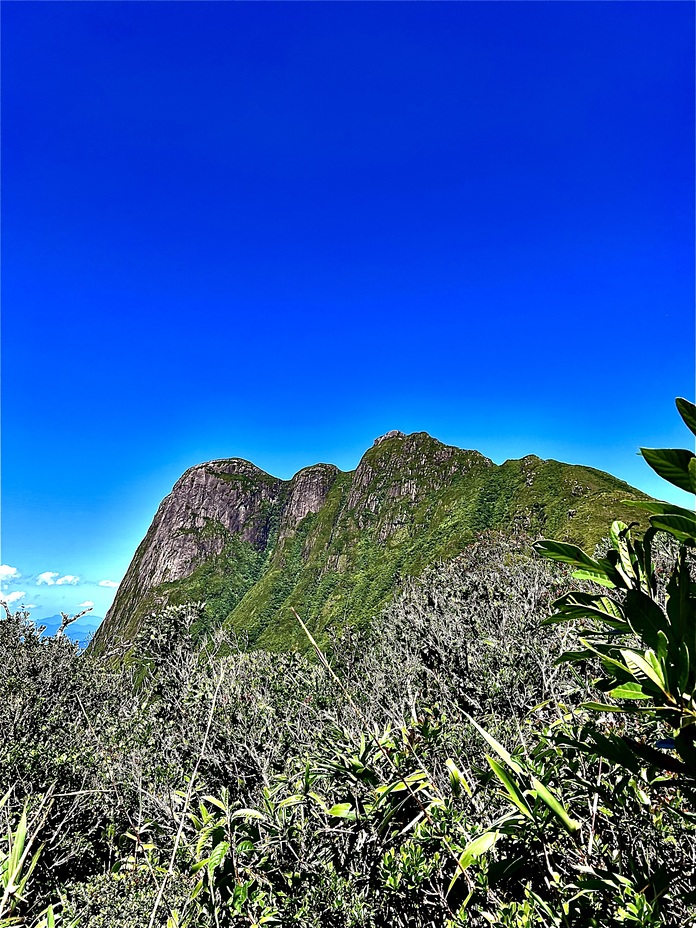 Pico Paraná from trail