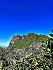 Pico Paraná from trail photo