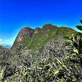 Pico Paraná from trail