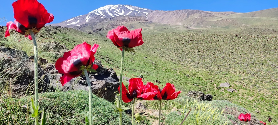 دامنه دماوند, Damavand (دماوند)