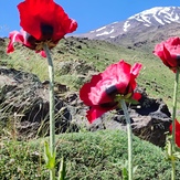 دامنه دماوند, Damavand (دماوند)