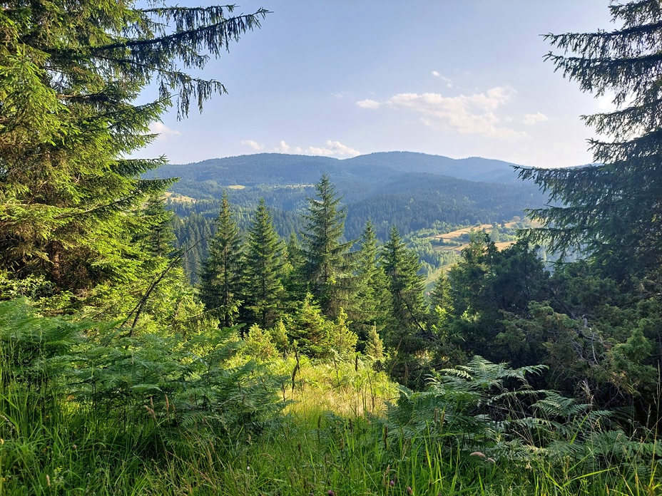 Zlatar, naselje Babića brdo, Zlatar (mountain)