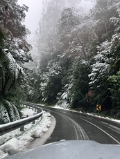 Winter, Mount Donna Buang photo