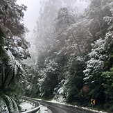 Winter, Mount Donna Buang