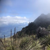 Bartle frere helipad viewpoint, Mount Bartle Frere