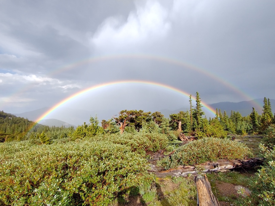 Double rainbow at Mt Goliath Nature Center, Mount Evans