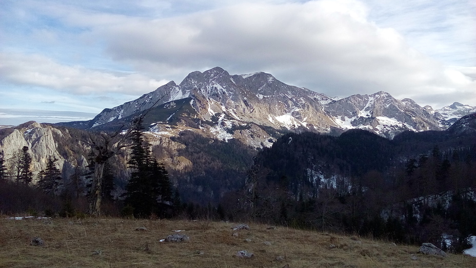 Maglić sa Vratnica, Maglic