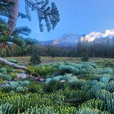 Bunny flats trail head, Mount Shasta