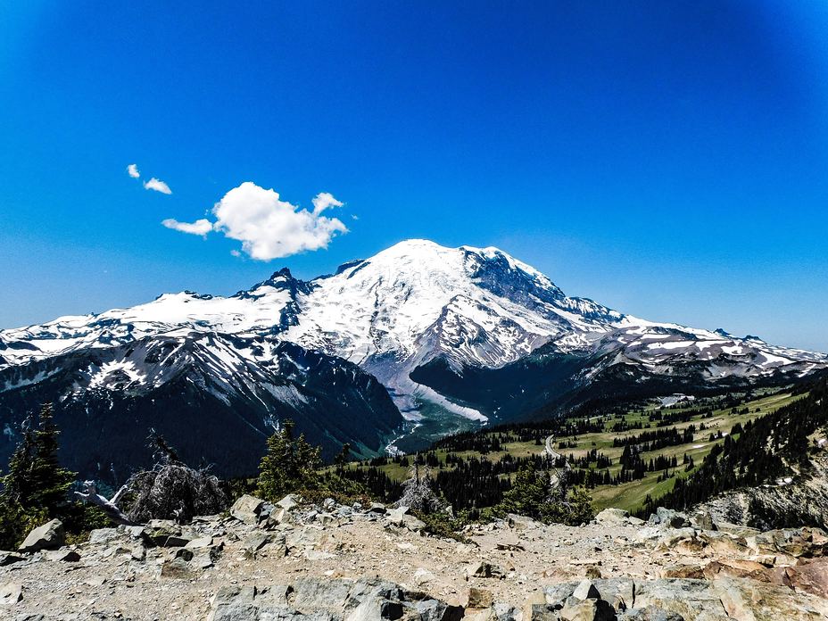 Mount Rainier from Sunrise.