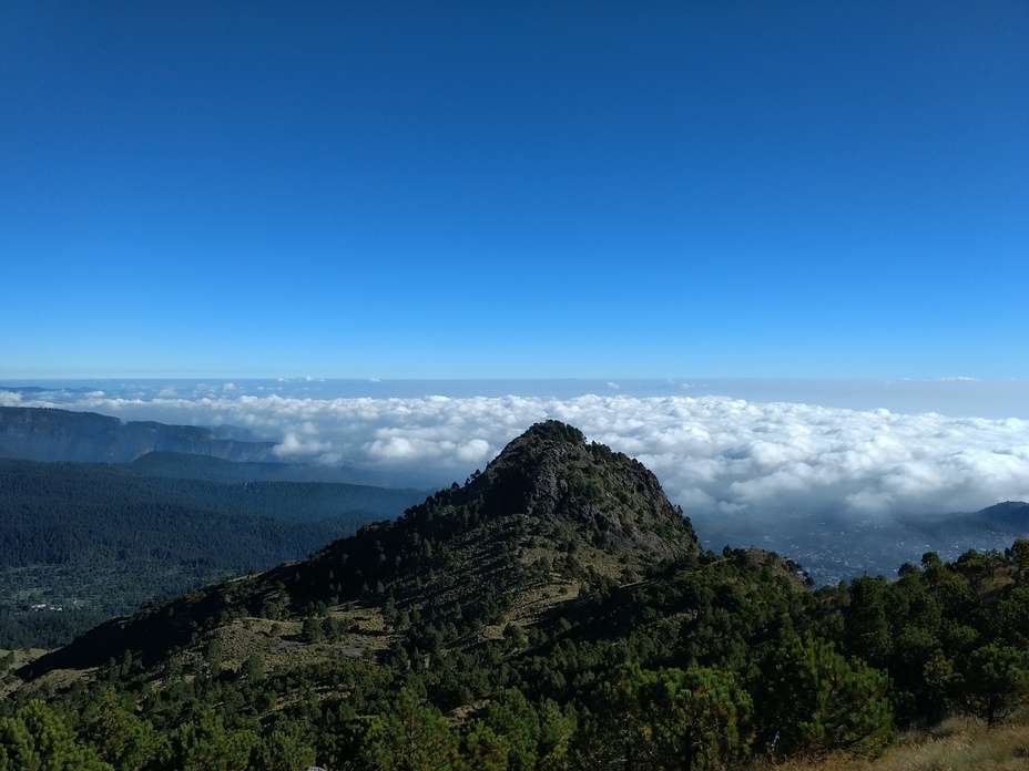 Pico del aguila, Ajusco