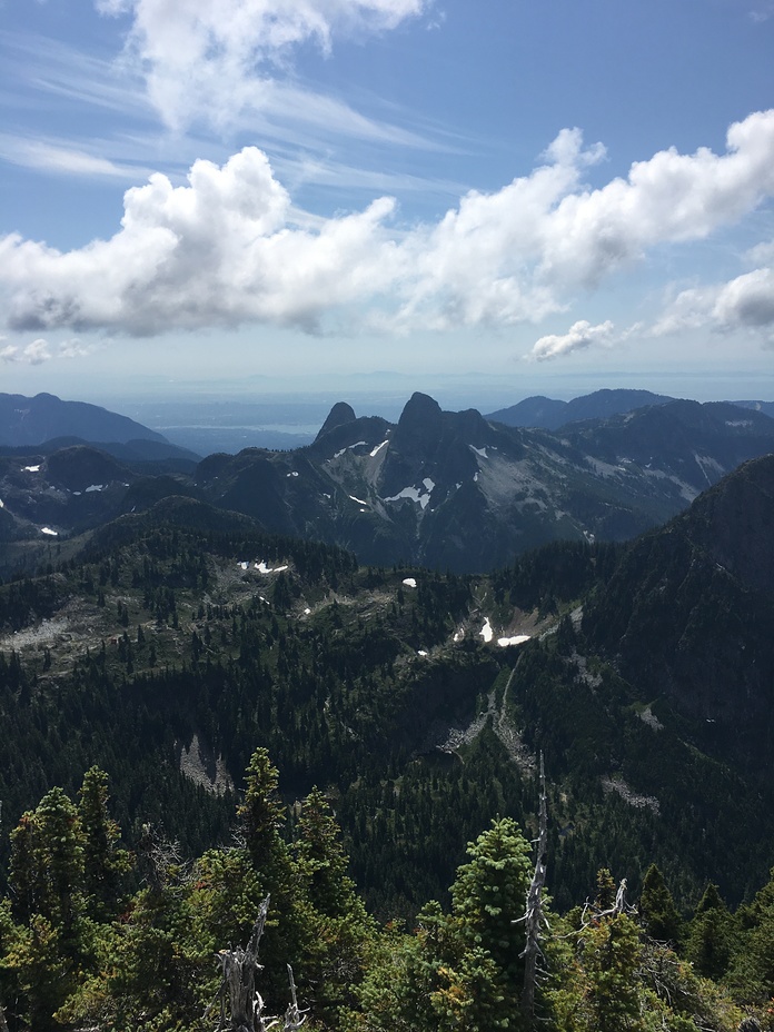 The Lions seen from Brunswick Mountain (1788m), The Lions (peaks)